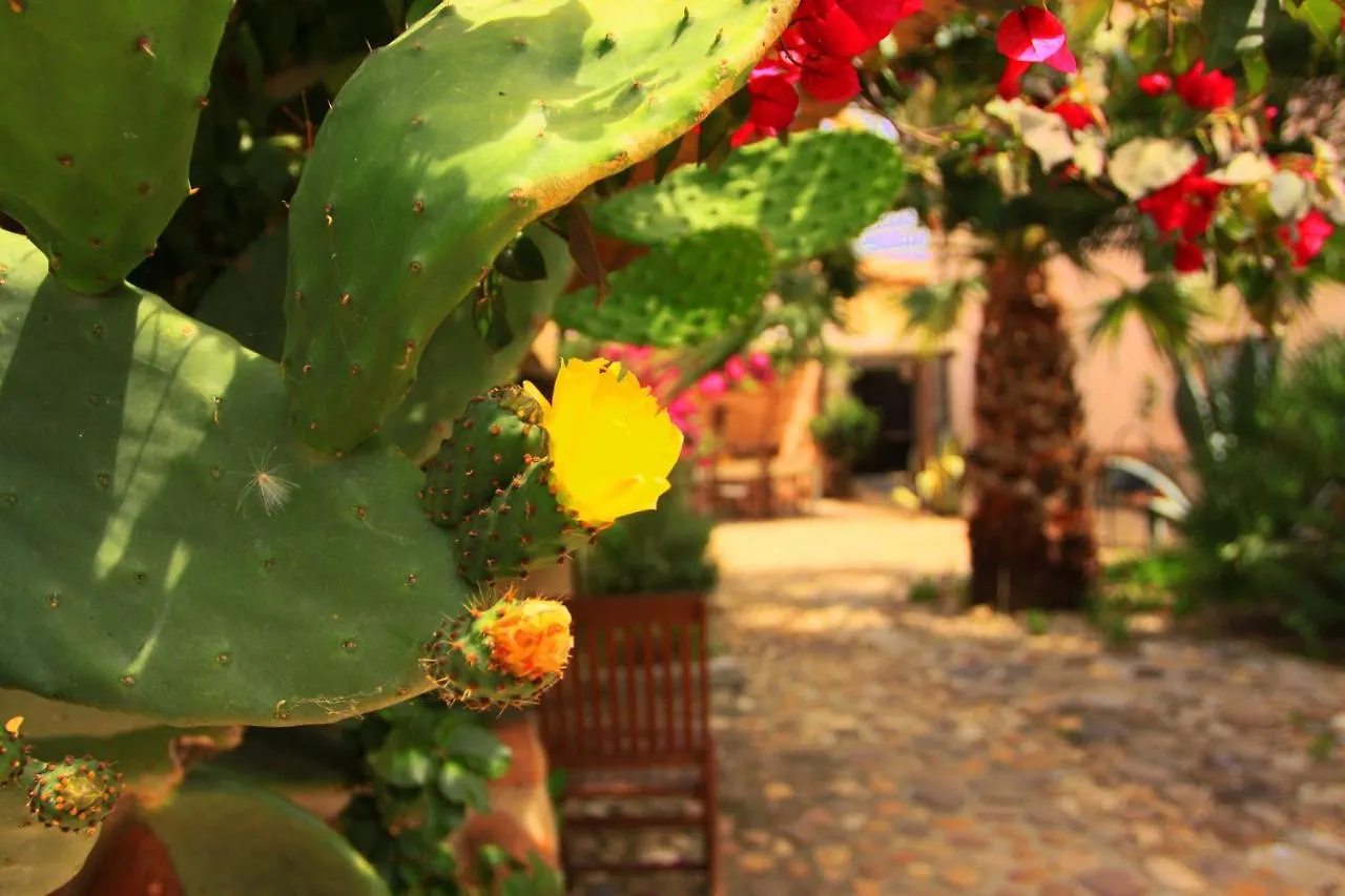 Is Scabas Guestrooms Solarussa Guest house